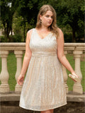 [Plus Size] Gold 1950s Sleeveless Sequined Dress