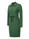 1960s Chelsea Collar Button Solid Dress