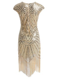 1920s Sequin Beaded Fringed Dress