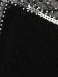 1920s Sequined Fringe Dress