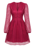 Wine Red 1960s Plaid Mesh V-Neck Dress