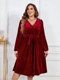 [Plus Size] Wine Red 1950s V-Neck Glitter Velvet Dress