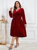 [Plus Size] Wine Red 1950s V-Neck Glitter Velvet Dress