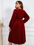[Plus Size] Wine Red 1950s V-Neck Glitter Velvet Dress