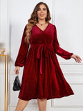 [Plus Size] Wine Red 1950s V-Neck Glitter Velvet Dress