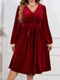 [Plus Size] Wine Red 1950s V-Neck Glitter Velvet Dress