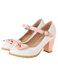 Mary Jane Bowknot Chunky Heels Shoes
