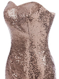 1920s Vintage Sequin Strapless Dress