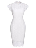 1960s Floral Lace Solid Pencil Dress